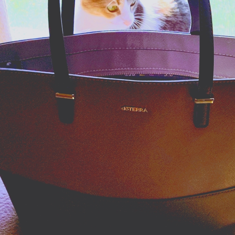 doTERRA bag purple and grey large